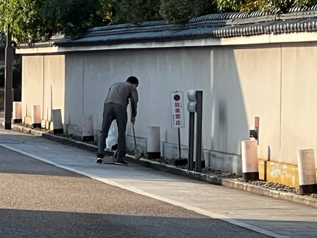 養浩館庭園清掃